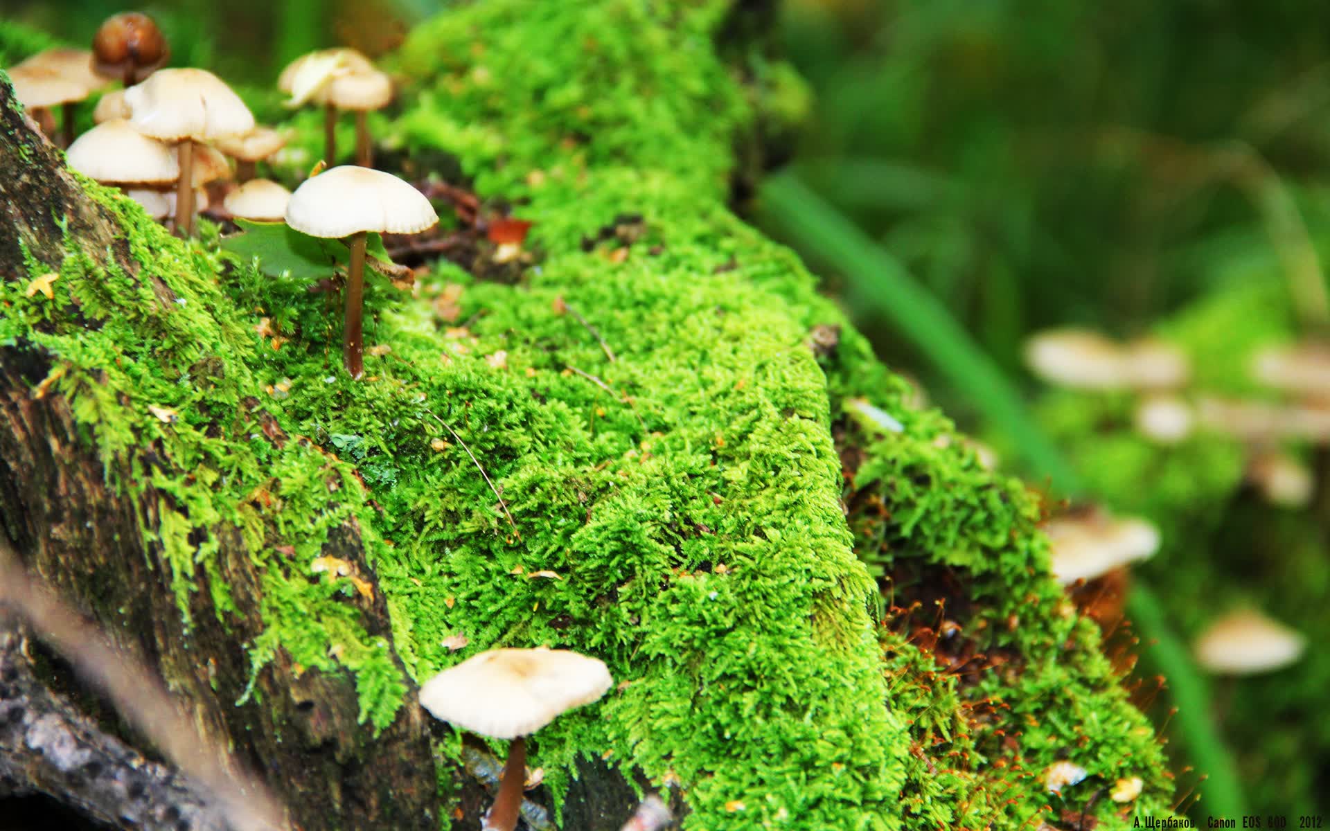 世界自行车青训器材补贴第六批名单受理完毕并进入评审阶段，自行车世界锦标赛
